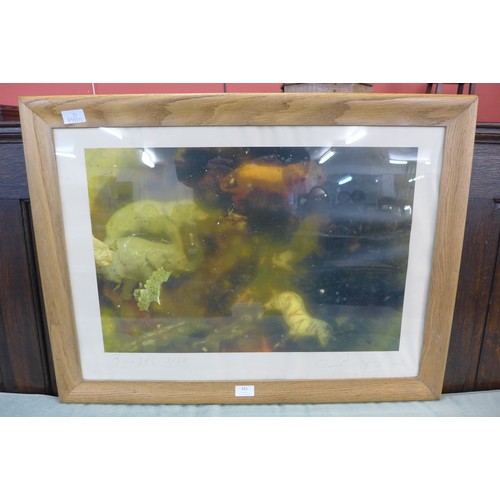 253 - Keith Morris, colour photographic print, Rockpool Series - Beasts, 1/20, signed and framed