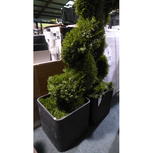 3040 - 2 6Ft Cedar Spiral Topiary Trees, Original RRP £174.99 +vat each  (279-354,355)   * This lot is subj... 