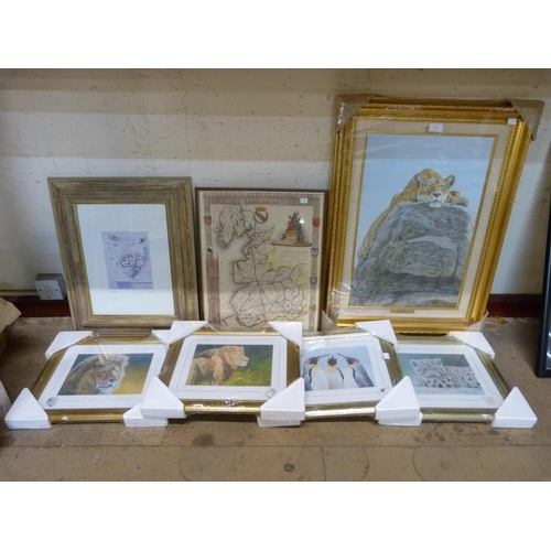 341 - Various Stephen Gayford signed animal prints, etc.