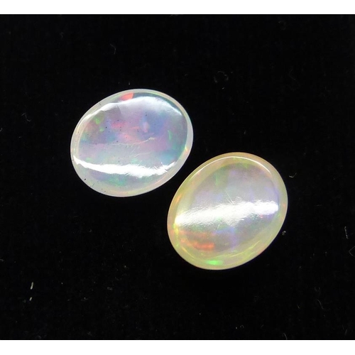 1004 - Two cut opals, 2.84cts