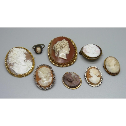 922 - A collection of cameo brooches, one a/f, one lacking pin