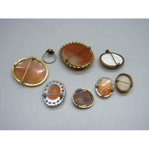 922 - A collection of cameo brooches, one a/f, one lacking pin