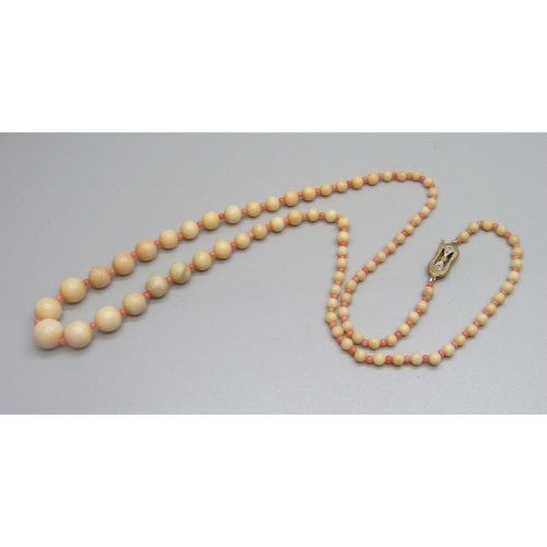 980 - A coral necklace with silver gilt clasp