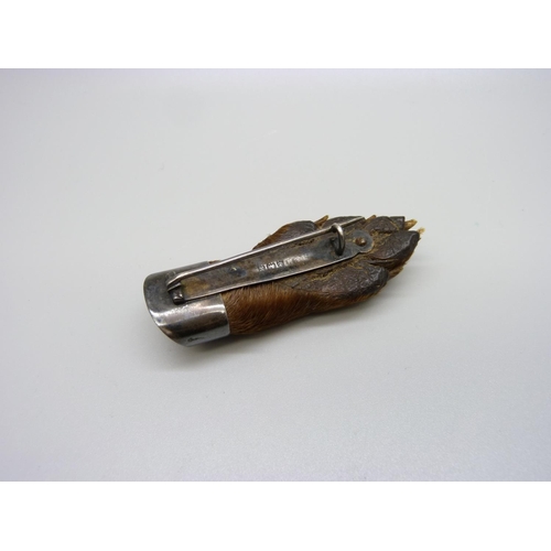 879 - A silver mounted otter's foot brooch, Birmingham 1922