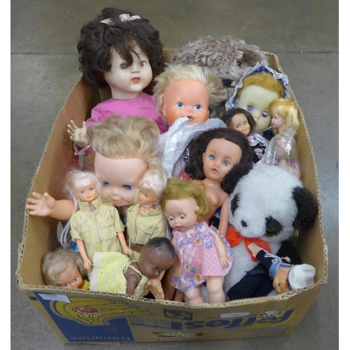 1155 - A box of assorted dolls including Palitoy **PLEASE NOTE THIS LOT IS NOT ELIGIBLE FOR POSTING AND PAC... 