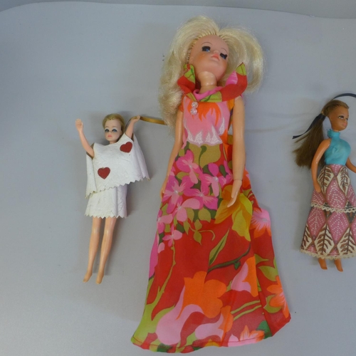 671 - Sindy and other dolls (5)