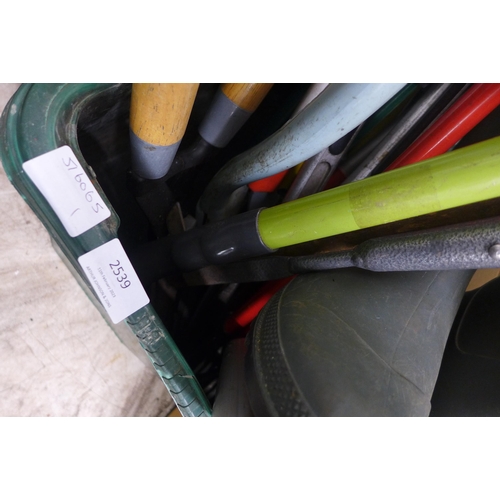 2539 - Quantity of garden shears with 2 rakes and Kent & Stowe edger