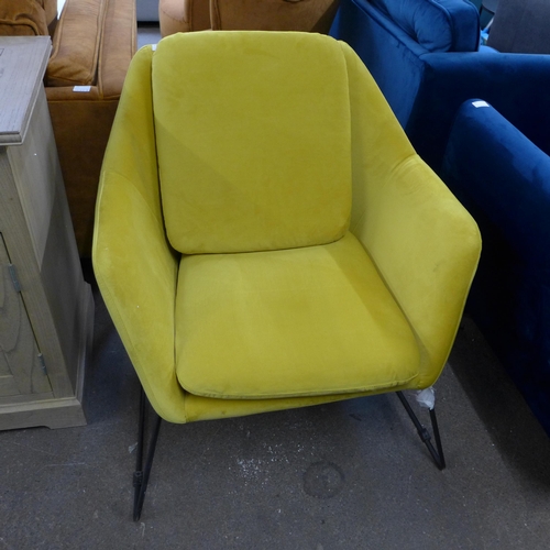 1999 - A mustard velvet armchair on metal frame - damaged corner