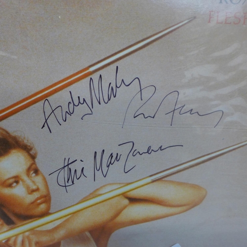 693 - A Roxy Music autographed LP record, Flesh and Blood signed by Brian Ferry, Andy Mackay and Phil Manz... 