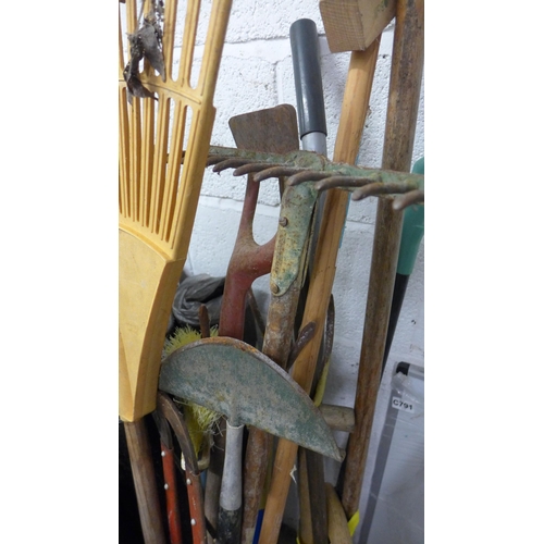 2480 - Two bundles of mixed garden tools: rakes, forks, wire brush, lawn edger, etc.