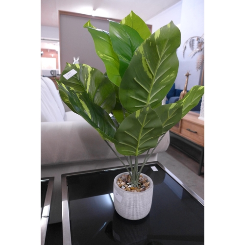 1367 - A large tropical ornamental green plant in a cement pot - H57 cms (63084407)