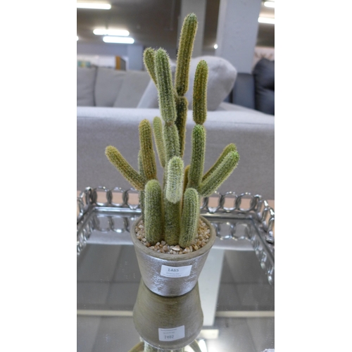 1485 - An artificial cactus in a rustic pot (505941339962616)   #