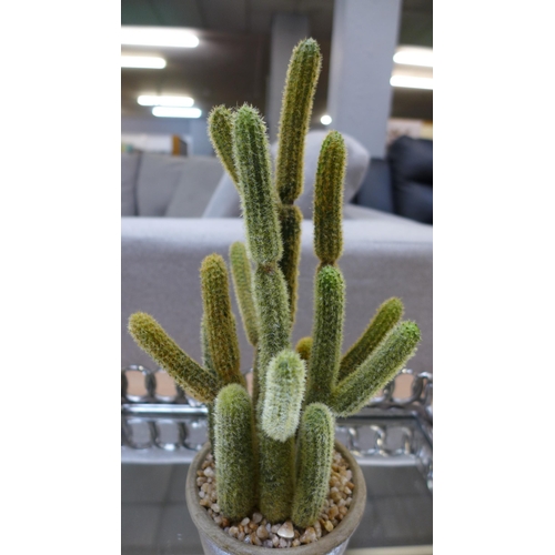 1485 - An artificial cactus in a rustic pot (505941339962616)   #