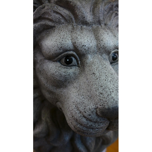 1345 - A stone effect garden lion, H 51cms (3094932)   #