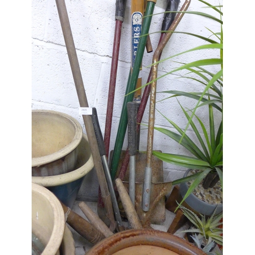 2435 - Bundle of approx. 12 garden tools: rakes, clippers, etc.