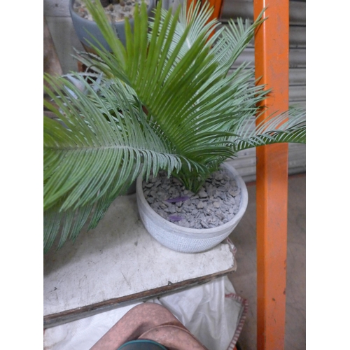 2436 - 4 high quality synthetic potted plants - palms and cacti