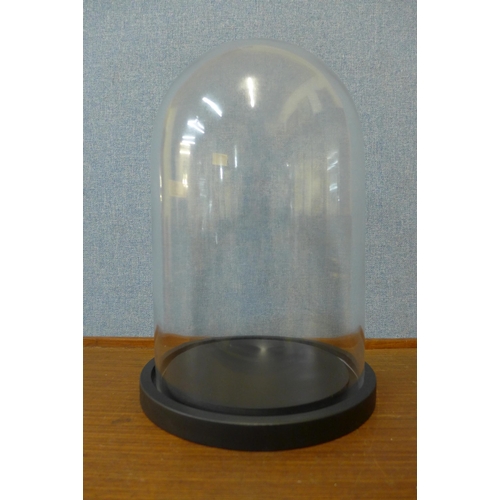 336 - A glass dome on stand