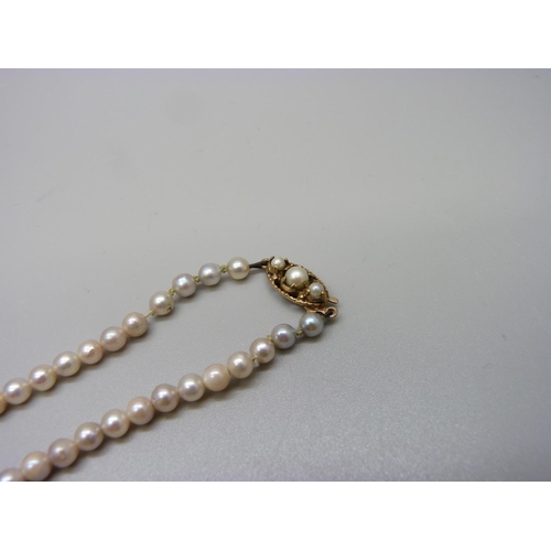 1012 - A string of cultured pearls with 9ct gold clasp