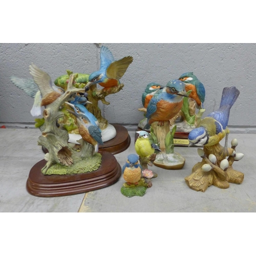 1188 - Leonardo and Blue Tit bird figures