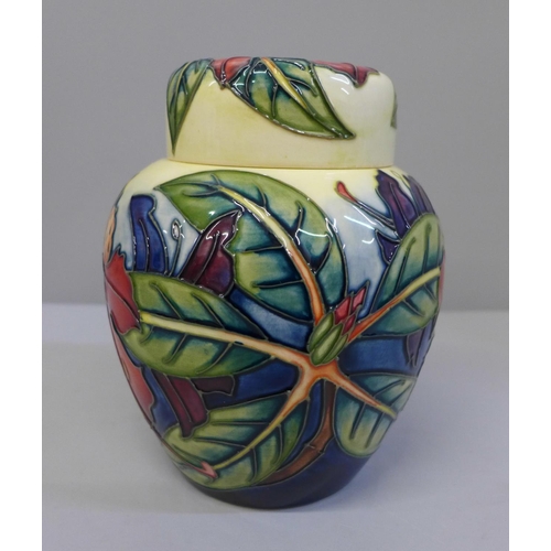 617 - A Moorcroft Simeon ginger jar, 15.5cm