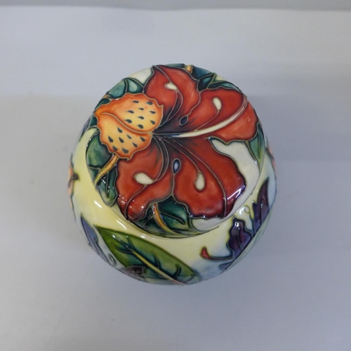 617 - A Moorcroft Simeon ginger jar, 15.5cm