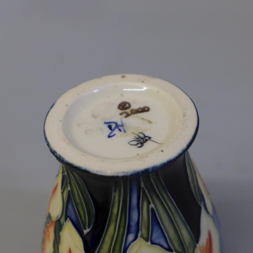 646 - A Moorcroft vase, 9cm