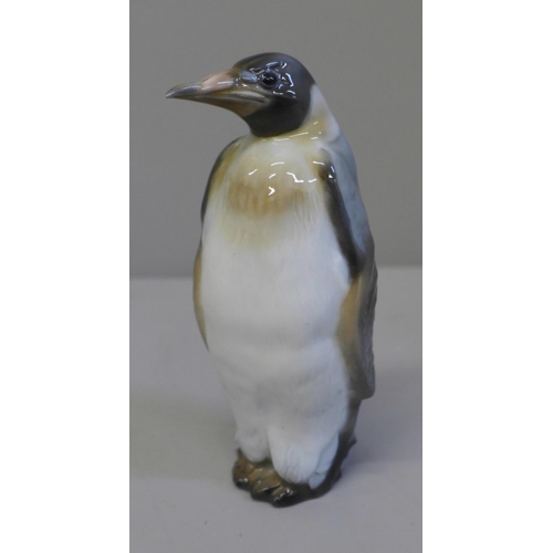 649 - A Rosenthal figure of a penguin