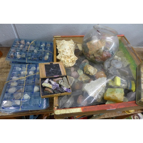 833 - A large collection of mineral and gem stone samples and shells **PLEASE NOTE THIS LOT IS NOT ELIGIBL... 