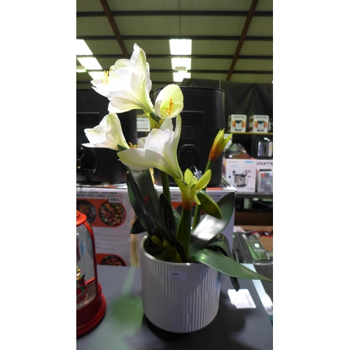 3029 - Artificial Amaryllis in White Pot (283-77) * This lot is subject to VAT