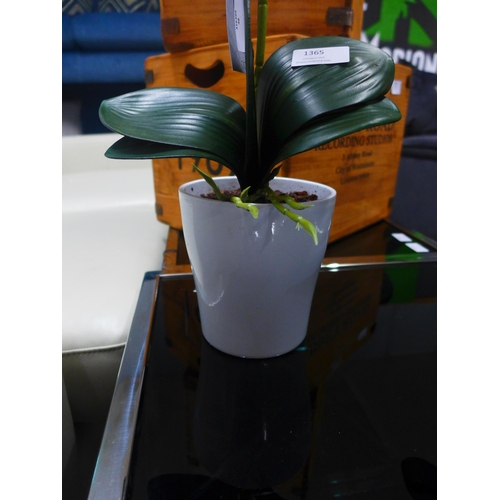 1365 - A single stem artificial Orchid, H 60cms (51237907)   #