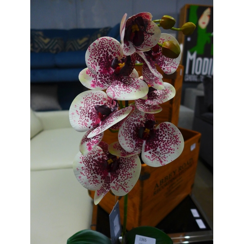 1365 - A single stem artificial Orchid, H 60cms (51237907)   #