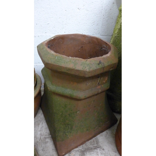 2442 - Three 50-70cm tall terracotta/stone chimney pot planters