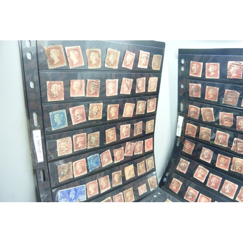 650 - Ten stock sheets of stamps including Penny Reds and Blues