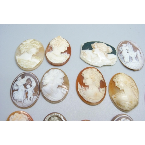 1186 - Unmounted cameo plaques