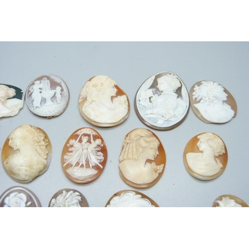 1186 - Unmounted cameo plaques