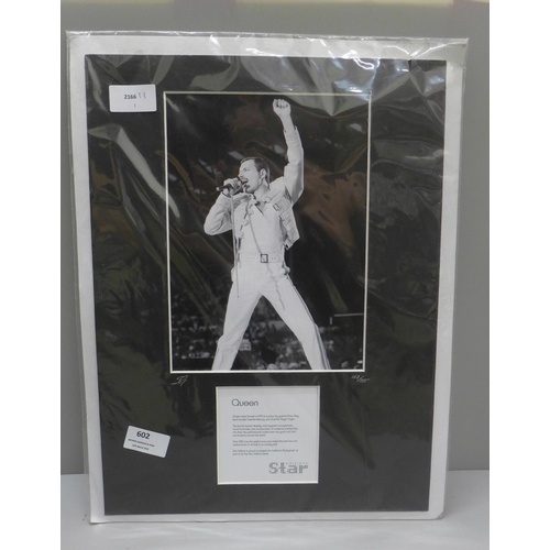 602 - A Star Editions celebrity collectors range, Freddie Mercury, Queen mounted photograph, 167/555