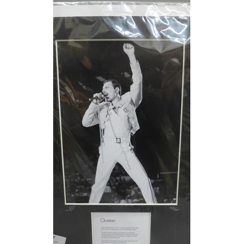 602 - A Star Editions celebrity collectors range, Freddie Mercury, Queen mounted photograph, 167/555