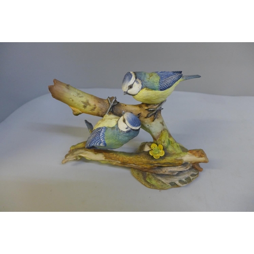 660 - A Coalport limited edition British Birds Models Blue Tit, boxed, with certificate