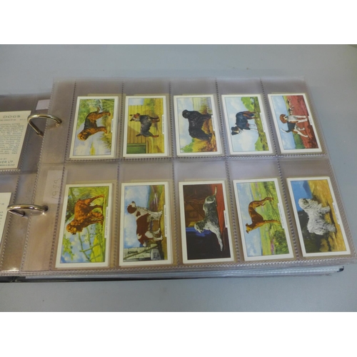 673 - Cigarette cards:- album containing thirteen complete sets, Gallaher, John Player, etc.