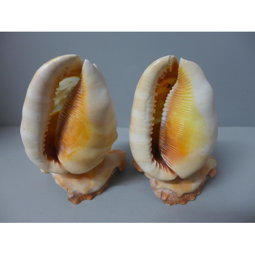 806 - Two figural cameo conch shells on stands