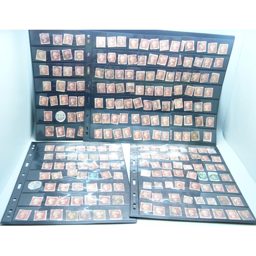 837 - Ten stock sheets with Victorian stamps, mainly Penny Reds