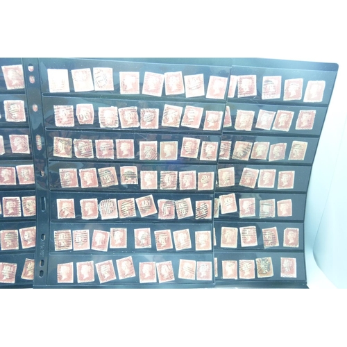 837 - Ten stock sheets with Victorian stamps, mainly Penny Reds