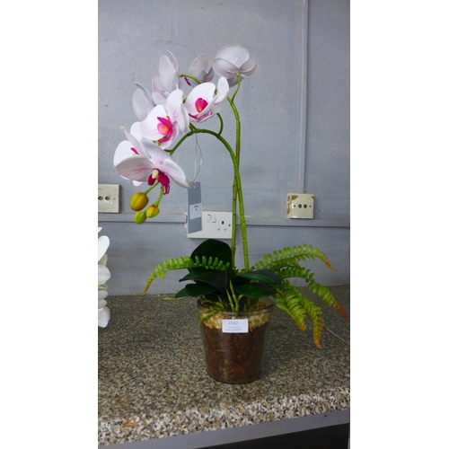 1525 - A double Orchid and Fern display in a glass pot, H 50cms (50658612)   #