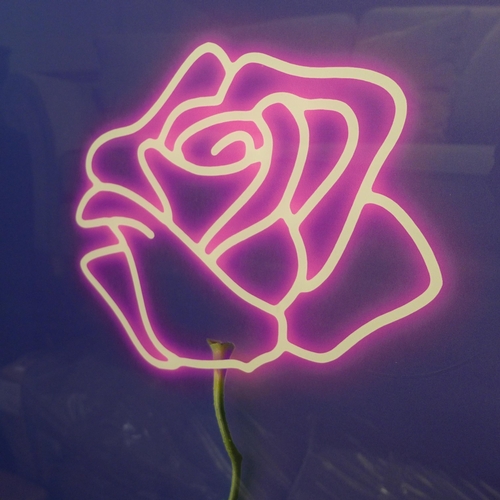 1364 - A Neon Look rose stem glass wall art panel, 70 x 100cms (70430390)   #