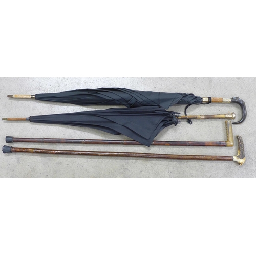 831 - Horn and antler handled umbrellas and walking sticks