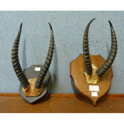 394 - Two pairs of mounted antelope horns