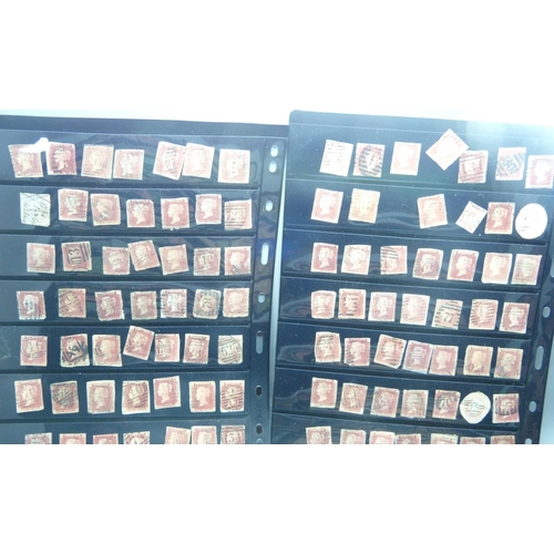 783 - Five stock sheets, double sided, of penny reds and other stamps