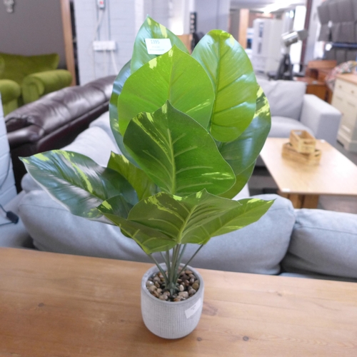 1395 - A large tropical ornamental green plant in a cement pot - H57 cms (63084407)