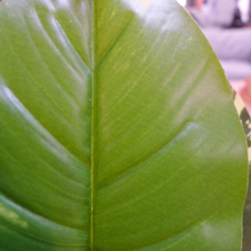 1395 - A large tropical ornamental green plant in a cement pot - H57 cms (63084407)