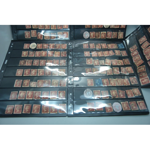 783 - Five double sided stock sheets of stamps, mostly penny reds